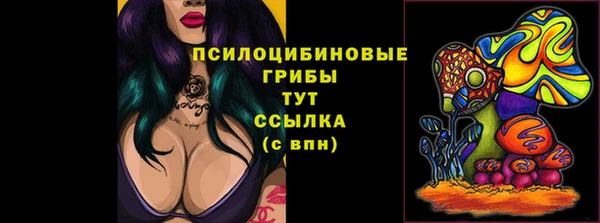 круглые Алексеевка